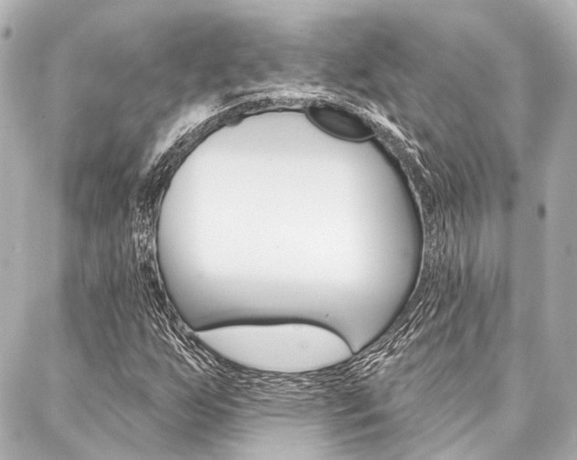X0000088201255200705151017