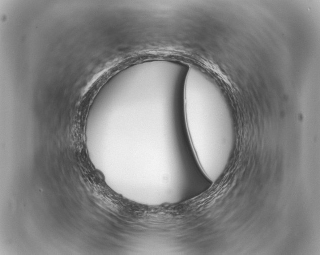 X0000088201256200705151017