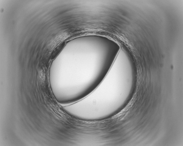 X0000088201257200705151017