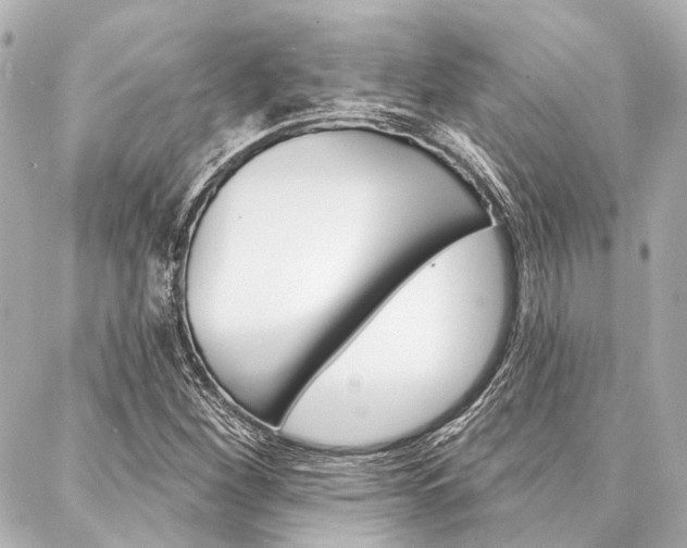 X0000088201260200705151017