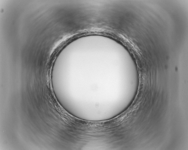 X0000088201262200705151017