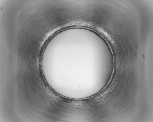 X0000088201264200705151017
