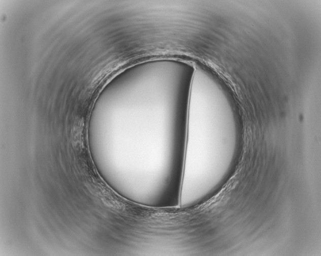 X0000088201265200705151017