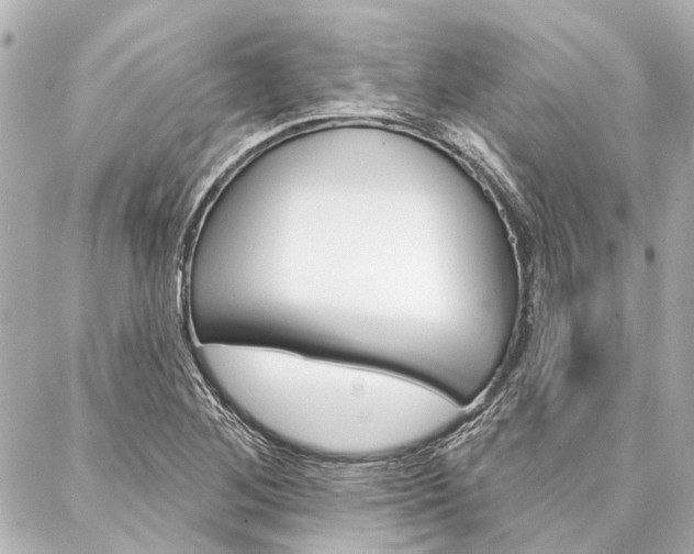 X0000088201268200705151017