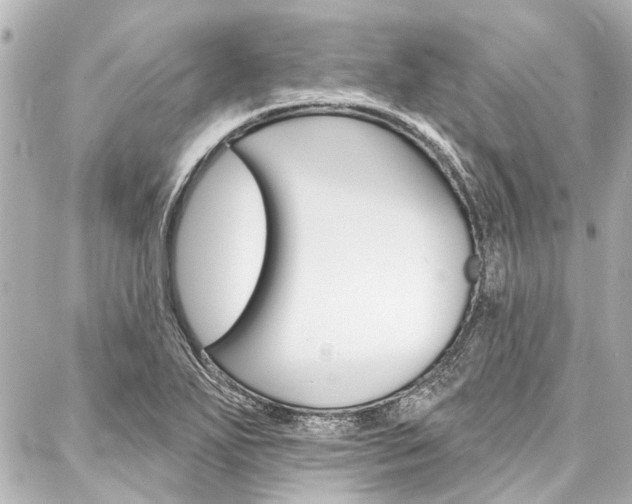X0000088201271200705151017