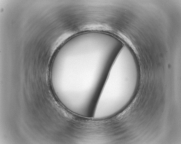 X0000088201277200705151016