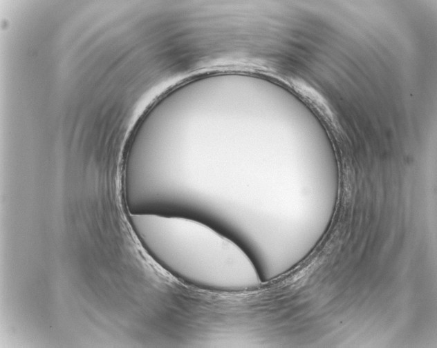 X0000088201288200705151016