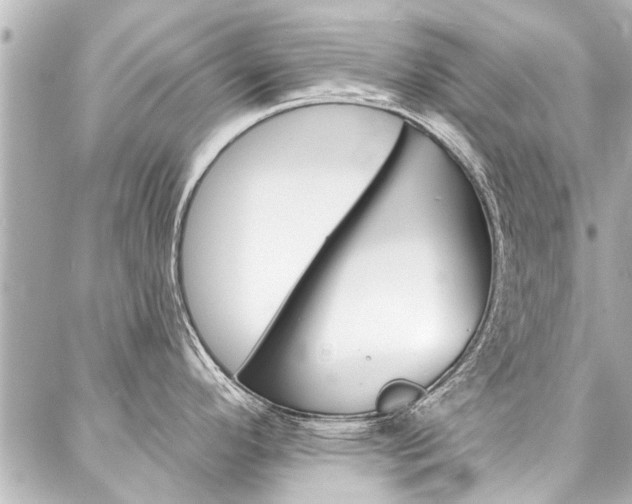 X0000088201296200705151016