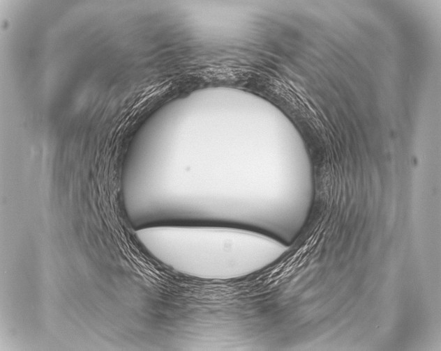 X0000088201297200705151015