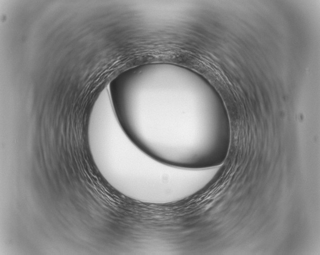 X0000088201298200705151015