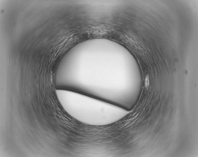 X0000088201299200705151015