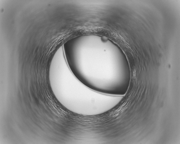 X0000088201300200705151015