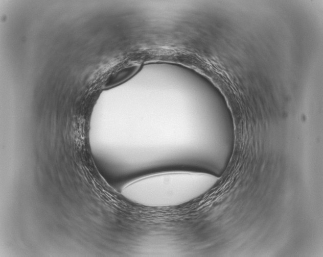 X0000088201301200705151015