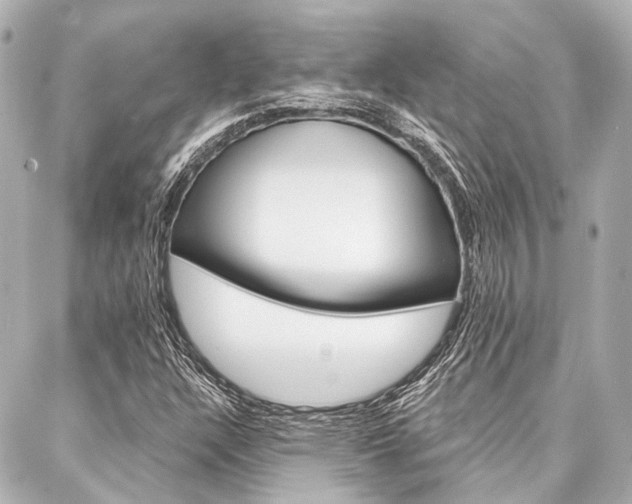 X0000088201304200705151016