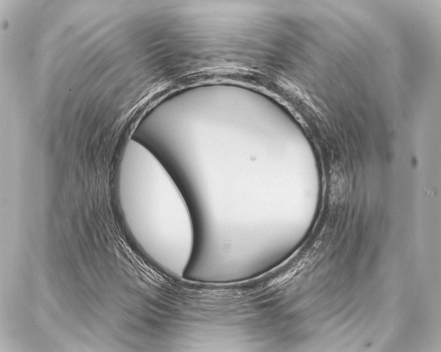 X0000088201305200705151016