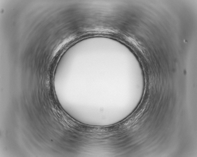X0000088201307200705151016