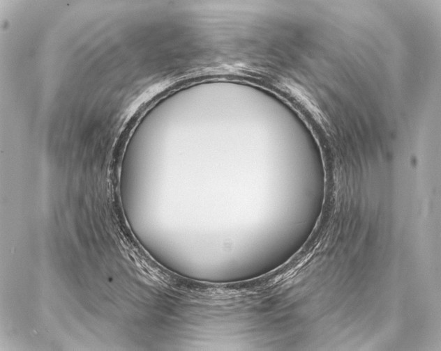 X0000088201308200705151016