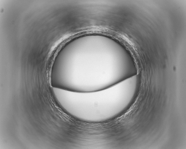 X0000088201310200705151016