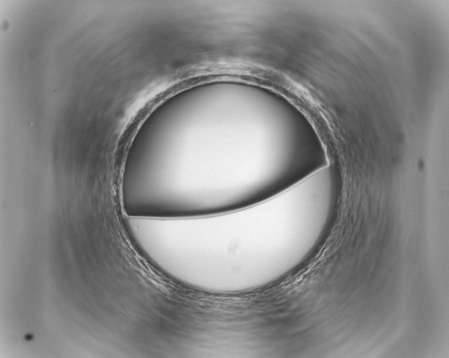 X0000088201312200705151016