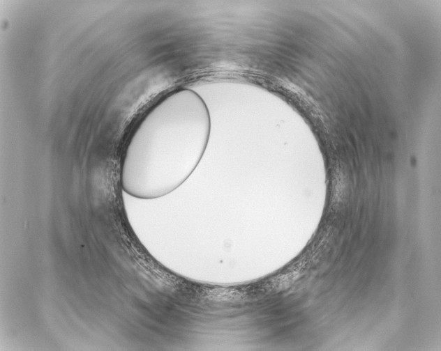 X0000088201314200705151016