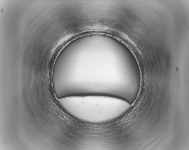 X0000088201315200705151016