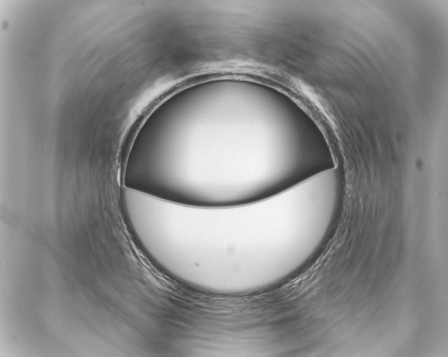 X0000088201320200705151016