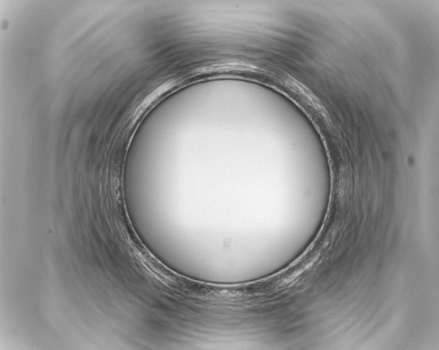 X0000088201321200705151016