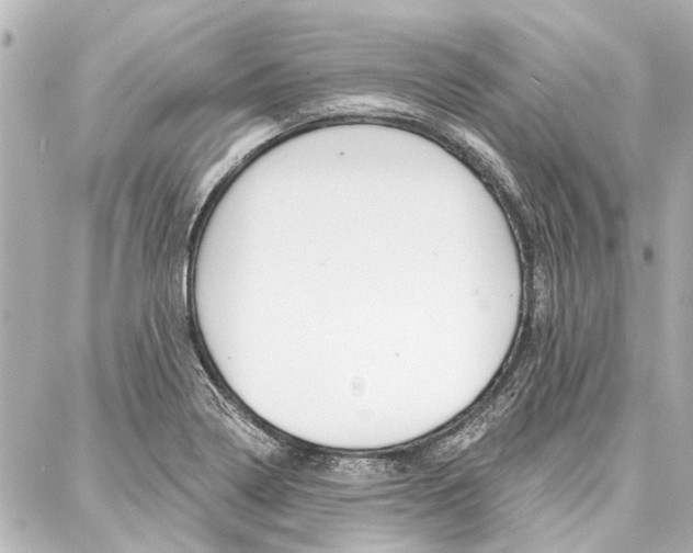 X0000088201322200705151016