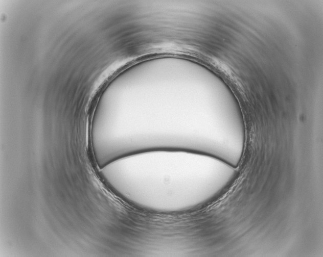 X0000088201323200705151016