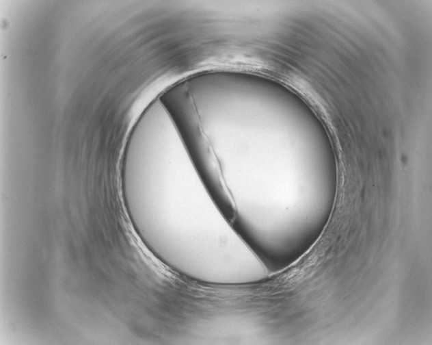 X0000088201344200705151016