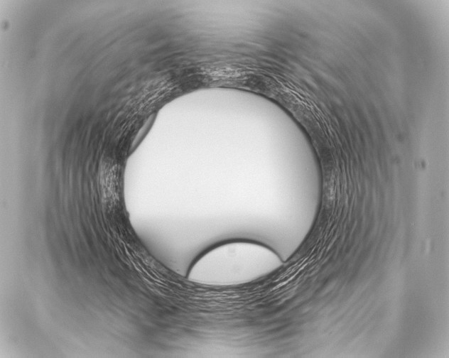 X0000088201346200705151015
