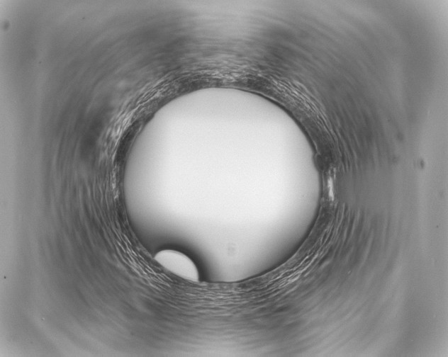 X0000088201347200705151015