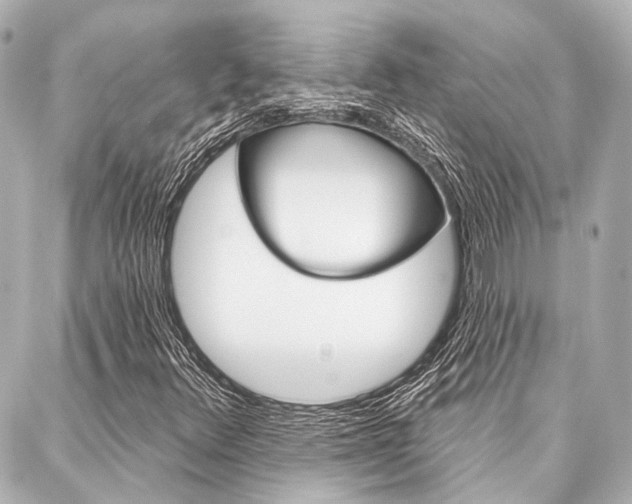 X0000088201348200705151015