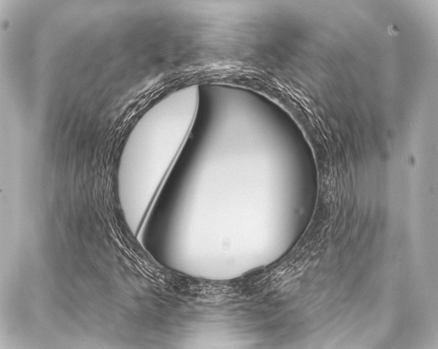 X0000088201349200705151015