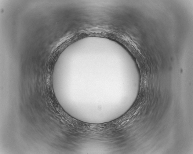 X0000088201350200705151015