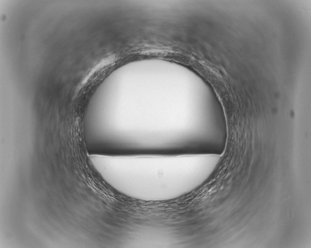 X0000088201351200705151015
