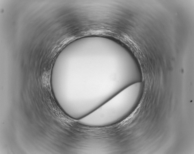 X0000088201353200705151015