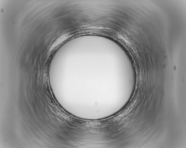 X0000088201354200705151015