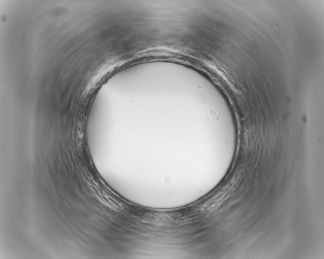 X0000088201355200705151015