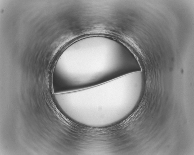 X0000088201356200705151015