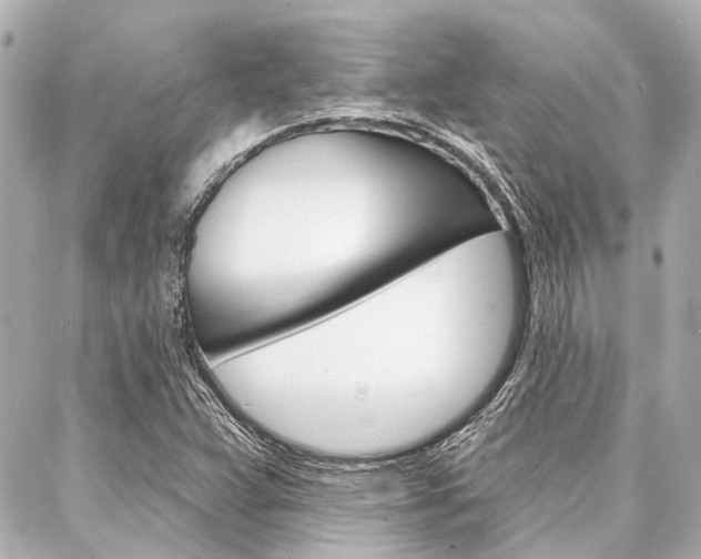X0000088201359200705151015