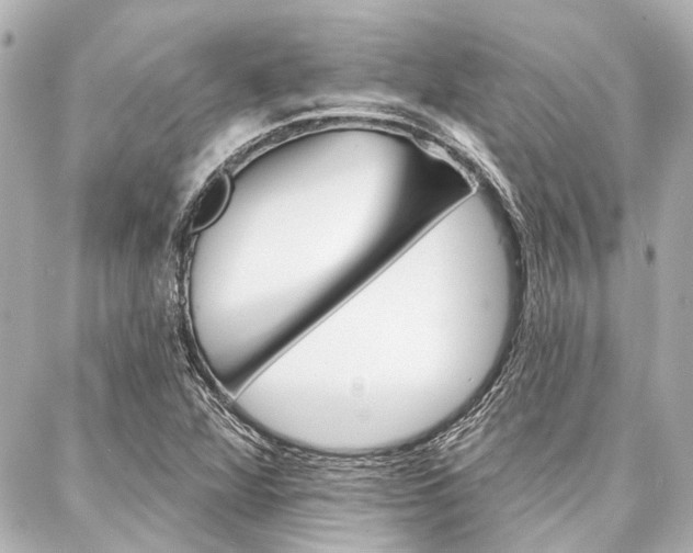 X0000088201360200705151015