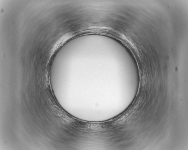X0000088201362200705151015