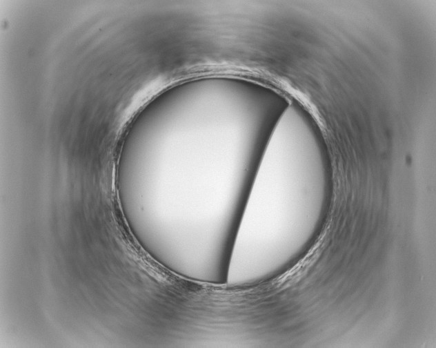 X0000088201365200705151015
