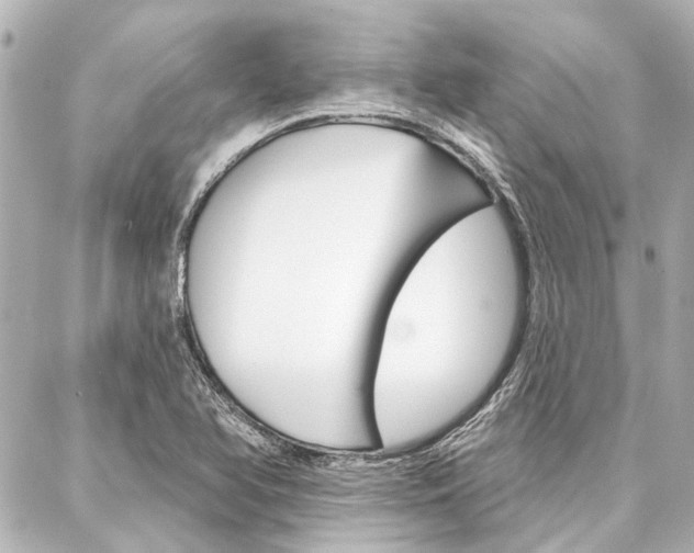 X0000088201366200705151015