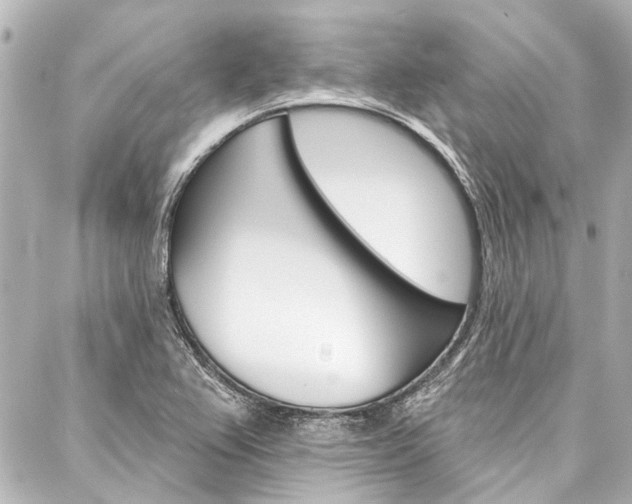 X0000088201367200705151015