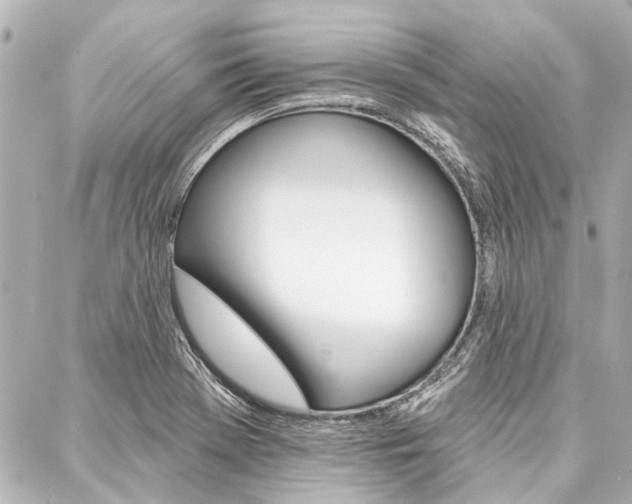 X0000088201369200705151015
