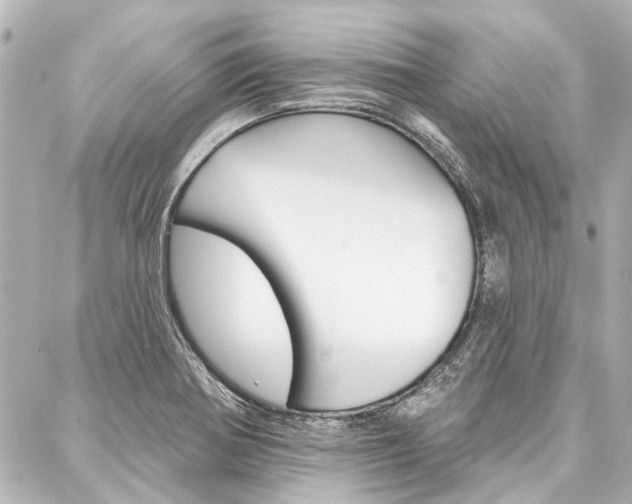 X0000088201370200705151015