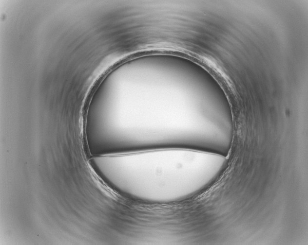 X0000088201372200705151015