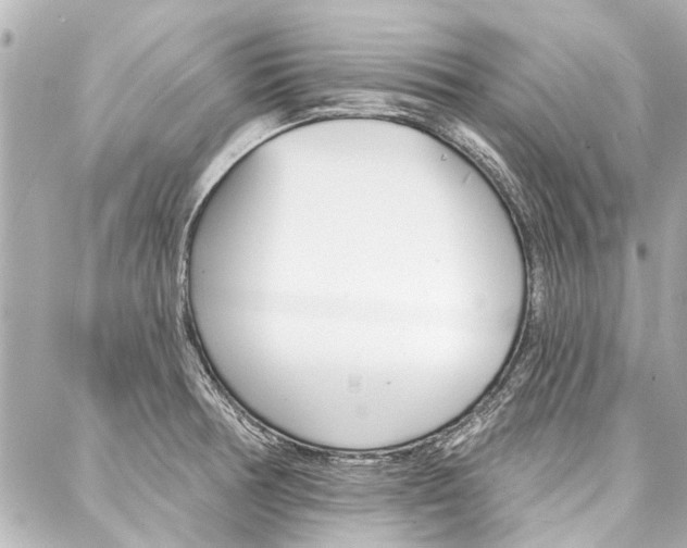 X0000088201378200705151015